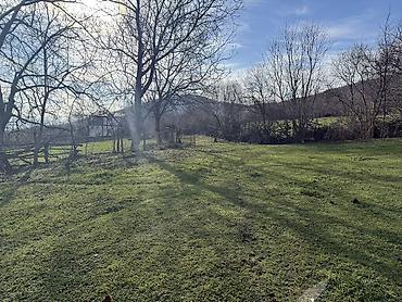 Torpaq sahələrinin satışı: 35 sot, Mülkiyyətçi — 6