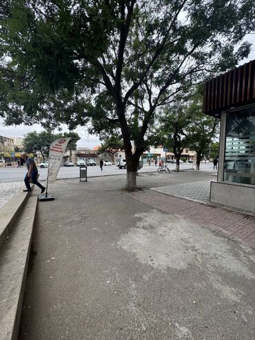 Ofislər: Obyekt icarəyə verilir.Rahat yerləşimdə,işlək küçədə yerləşir.Elmlər — 8