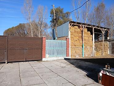 Продажа коттеджей и домов: Продаётся большой дом в селе Петровка с большим участком 40 — 7