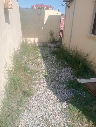 Torpaq sahələrinin satışı: Tikinti -da lalafo.az — 3 Torpaq sahələrinin satışı: Tikinti — 3