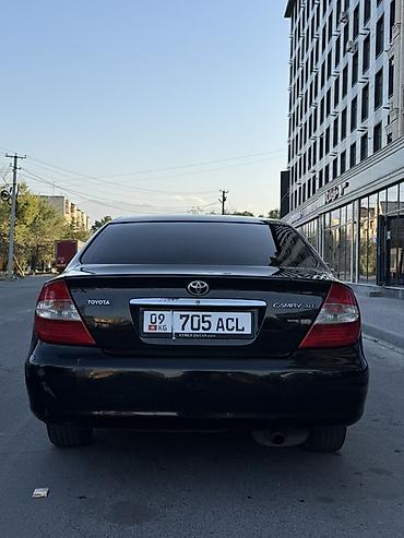 avalon trd: Toyota Camry: 2003 г., 2.4 л, Автомат, Бензин, Седан — 7