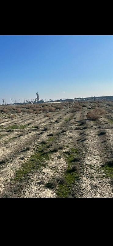 ticari daşınmaz əmlakın satışı: 150 sot, Biznes üçün, Mülkiyyətçi, Kupça (Çıxarış) — 6