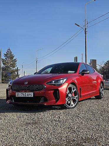Kia: Kia Stinger: 2019 г., 2 л, Автомат, Бензин, Хэтчбэк — 2