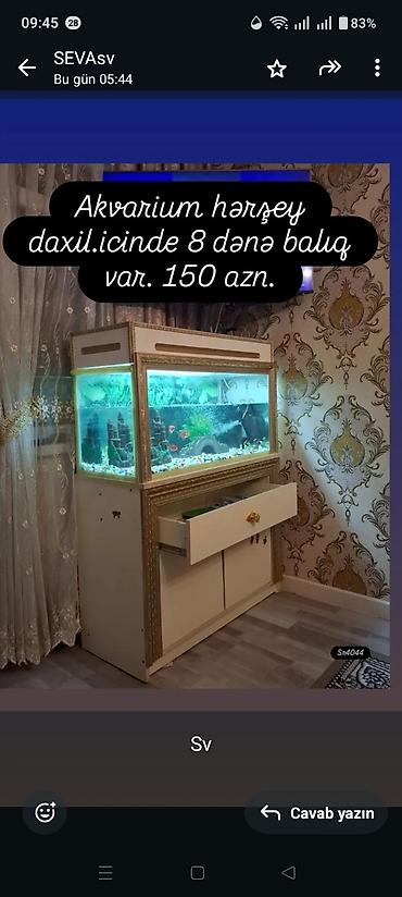 baliq yemleri: Akvarium komplekti – hər şey daxil. Şkaflı dekorativ akvarium — 1