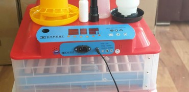 İnkubatorlar: Inkubator Rayonlara çatdırılma poct vasites ile heyata kechirilir 63 — 2