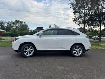 Lexus: Lexus RX: 2009 г., 3.5 л, Автомат, Бензин, Внедорожник