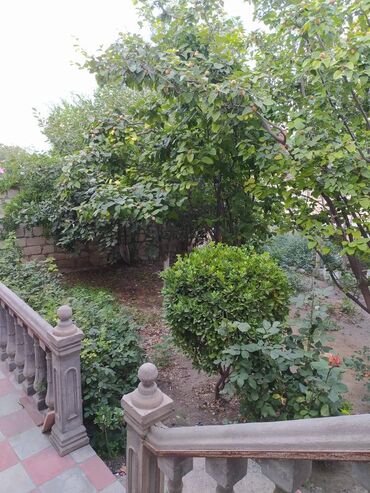 Həyət evləri və villaların satışı: 5 otaqlı, 120 kv. m, Yeni təmirli -da lalafo.az — 17 Həyət evləri və villaların satışı: 5 otaqlı, 120 kv. m, Yeni təmirli — 17