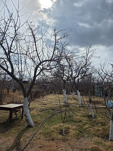 Продажа дач: Дача с участком и постройками - Кирпичный дом с остеклённой верандой — 8