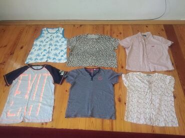 Рубашки и блузы: M (EU 38)
