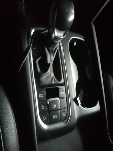 Hyundai: Hyundai Santa Fe: 2019 г., Кроссовер — 13