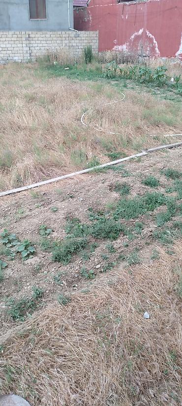 Torpaq sahələrinin satışı: Kənd təsərrüfatı — 6