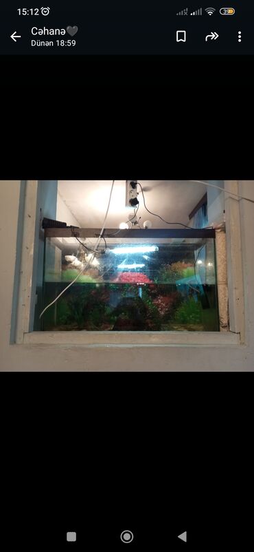 Akvariumlar: 100m akvarium satıram böyükdür 10 dənə balıq var içində yemi su