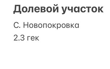 продается орошаемая земля в жайылско районе алтыр будёновка 5 40 гектар цена договорная с довой проблем нету оформление сразу: 2300 соток, Для сельского хозяйства