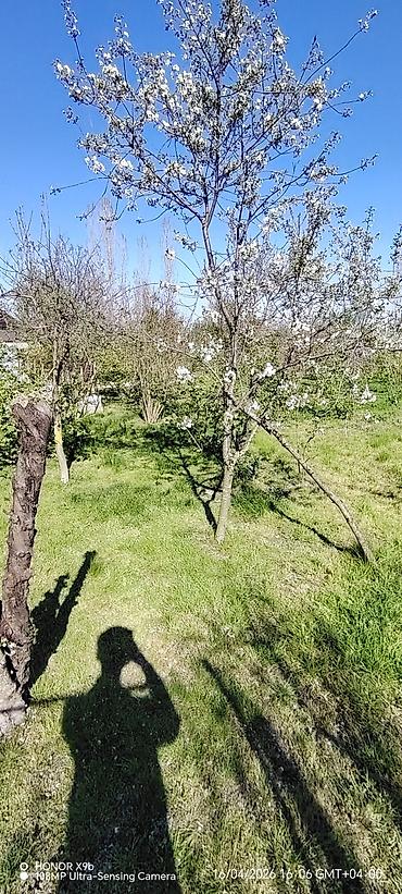 3 otaqlı ev certyojları: Satılır: Həyətli iki mərtəbəli ev Endirim olacaq. Sentiralni küçə — 8