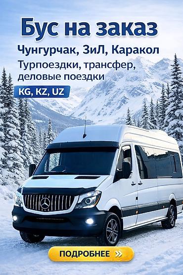 rex sprinter: Пункт назначения: Тюп, Количество мест: 20, Лицензия №: 232746 — 1