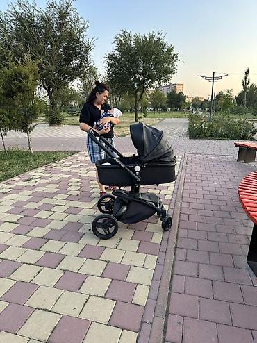 Коляска 2в1