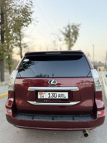 защитник: Lexus GX: 2021 г., 4.6 л, Автомат, Бензин, Внедорожник — 5