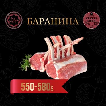 эчки улак бишкек: Баранина 
Козу
Ягненок
всегда свежее мясо, на заказ, доставка