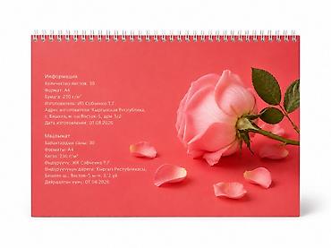 Канцтовары: 📌Профессиональные альбомы/скетчбуки А4 для рисования (230г) оптом и в — 21