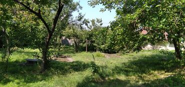 Torpaq sahələrinin satışı: 10 sot, Tikinti, Mülkiyyətçi, Kupça (Çıxarış) — 10