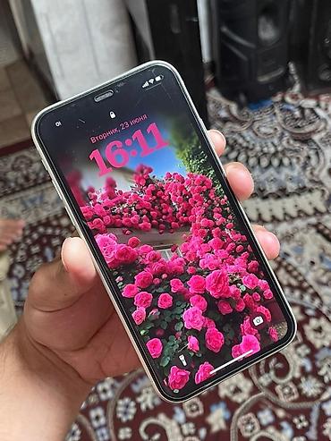 Apple iPhone: IPhone 11, Новый, 64 ГБ, Белый, Чехол, 79 % — 2