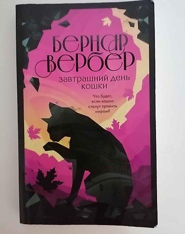 Bədii ədəbiyyat: Rus dilində kitablar Книги "Девочка которая не видела снов" Сара Бет — 3
