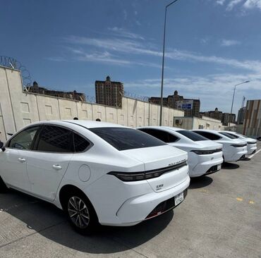 Тарелки: Byd gəldi günü 25-30 azn ilkin ödəniş var şəhid ailələrinizə