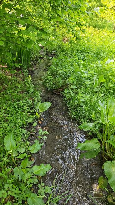 Turizm: 7 sot torpaqda 3 otaqli ev Yasayis ucun her bir serait vardir Qaz su — 2