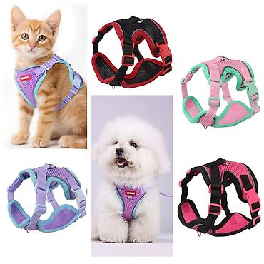 Зоотовары: Продаю игрушку/когтеточку/лежанку 3в1,с кошачей мятой,вашему котику — 10