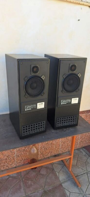 Dinamiklər və kolonkalar: Akustik sistem eksküliziv labirint qutuda sony dinamiklə və tviterlə — 2