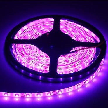 maxi staklene case: PINK LED TRAKA 60 DIODA/M ROZA LED TRAKA 12V | *U ponudi i IP65 — 3