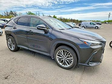 nx: Lexus NX: 2022 г. — 2