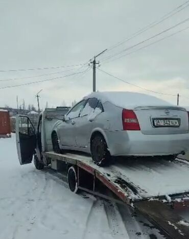 Nissan: Nissan Primera: 2002 г., 1.8 л, Механика, Бензин, Седан — 4