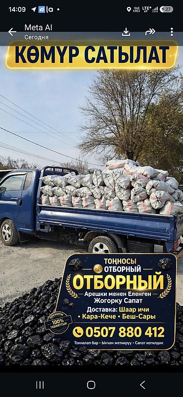 peg perego: Уголь в мешках: Кара-Кече, Беш-Сары, Шабыркул. Фракция кусковая — 2