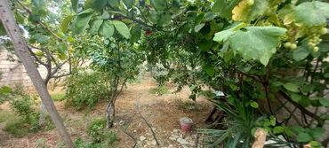 Həyət evləri və villaların satışı: 3 otaqlı, 120 kv. m, Yeni təmirli -da lalafo.az — 6 Həyət evləri və villaların satışı: 3 otaqlı, 120 kv. m, Yeni təmirli — 6