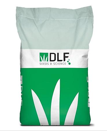 белый клевер купить: Продаю СЕМЕНА ГАЗОНА (производство Дания, DLF)🇩🇰🇰🇬 Следующие виды — 3