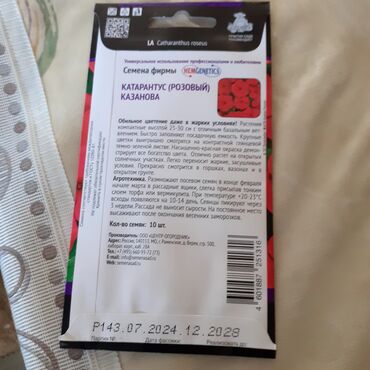 Другие книги и журналы: Продается семена дельфиниумов и катарантусов — 22