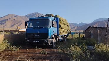 Грузовики: Грузовик, Iveco, Стандарт, Б/у — 5