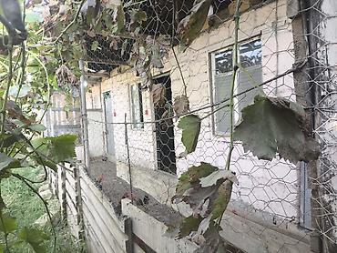 Torpaq sahələrinin satışı: 8 sot, Tikinti, Kupça (Çıxarış) — 8