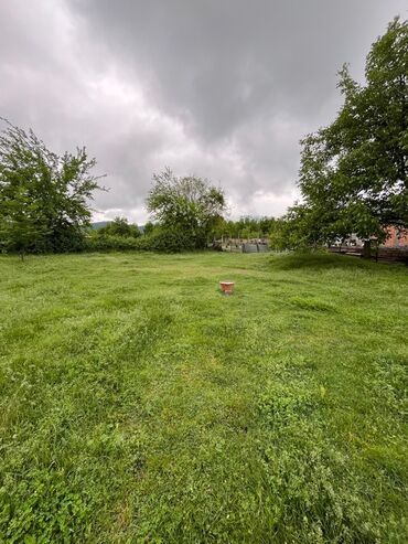 Torpaq sahələrinin satışı: 5 sot, Kənd təsərrüfatı -da lalafo.az — 3 Torpaq sahələrinin satışı: 5 sot, Kənd təsərrüfatı — 3