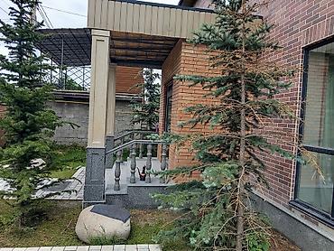 Готовые балясины: Бурусчатка, лесинца, тумба, балясина, сокол,уйду жылуулоо. тез Жана — 5