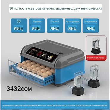 Инкубаторы: Инкубаторы с двойным электроприводом и полностью автоматическим — 15