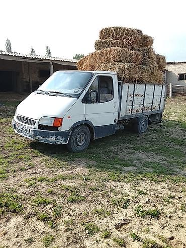 грузовик взлом: Ford Transit: 1995 г., 2.4 л, Механика, Дизель, Пикап — 2