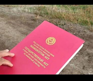 район гоин: 5 соток, Красная книга — 1