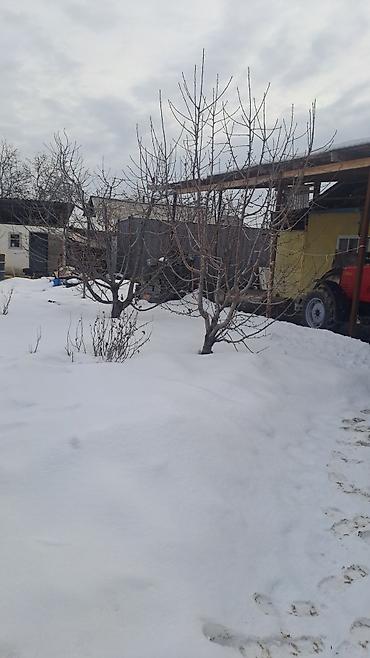 Продажа коттеджей и домов: Продаю дом на Ыссык-кулском районе с.Ананьево 4комнатный дом 15сотах — 9