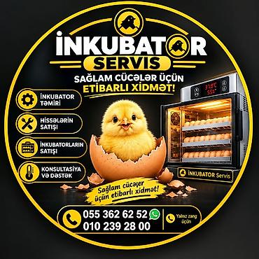 c 230 kompressor: İnkubator Servis – sağlam cücələr üçün etibarlı xidmət Təklif olunan — 1