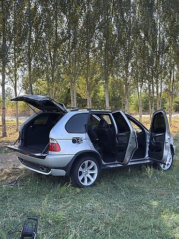 BMW: BMW X5: 2002 г., 4.6 л, Автомат, Бензин, Кроссовер — 8