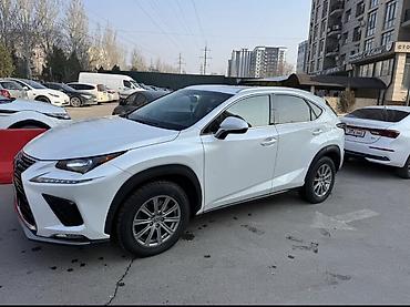 лехус нх 300: Lexus NX: 2017 г., 2 л, Автомат, Бензин, Кроссовер — 2