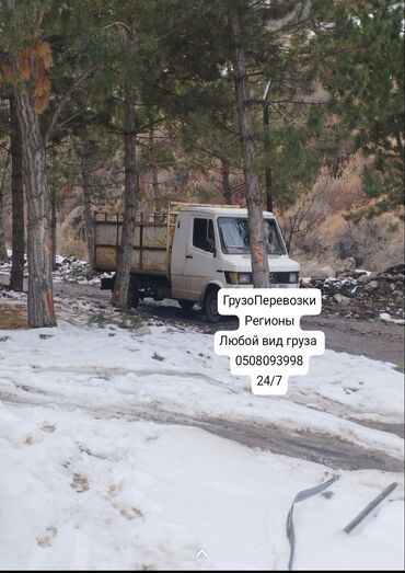 такси таш комур: Такси регион по городу животные будет