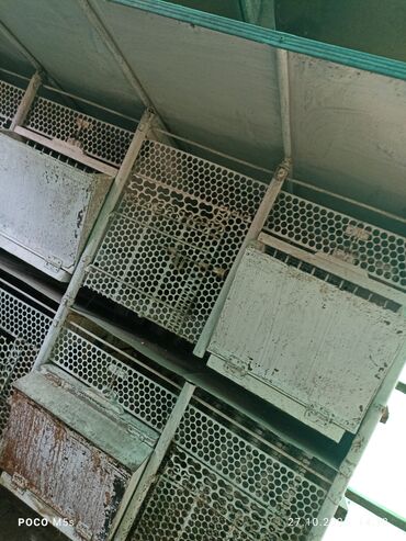 оборудование для кур несушек: Многоярусные клетки/стеллаж для содержания птицы или кроликов( продаю